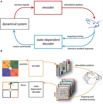 State-Dependent Decoding Algorithms Improve the Performance of a Bidirectional BMI in Anesthetized Rats